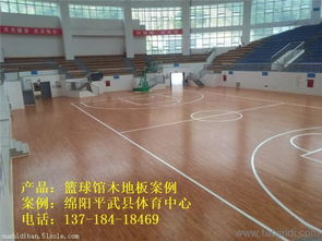 华蓥市室内运动场地板选购指南 价格、厂家与图片一览