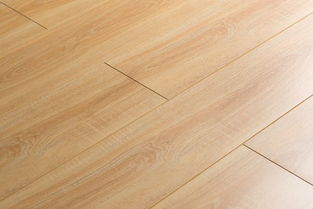 探索e802科利达地板 品质与美学的完美融合